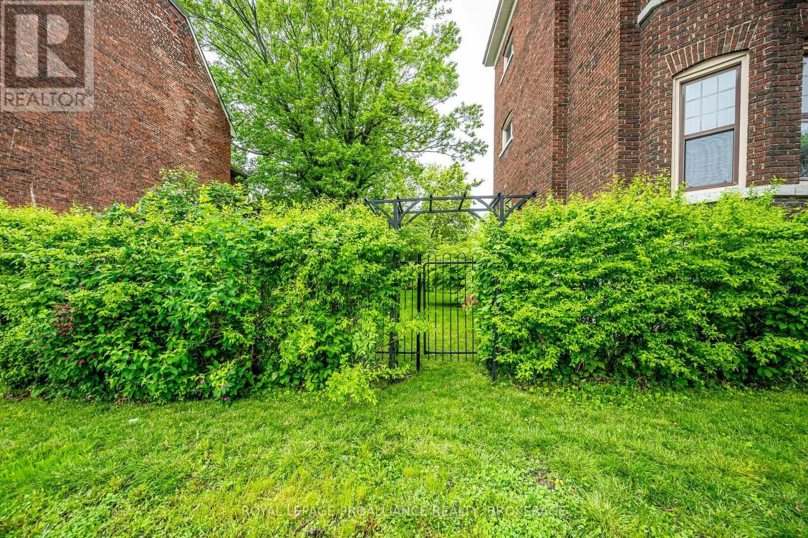 2 - 244 BARRIE STREET, #2