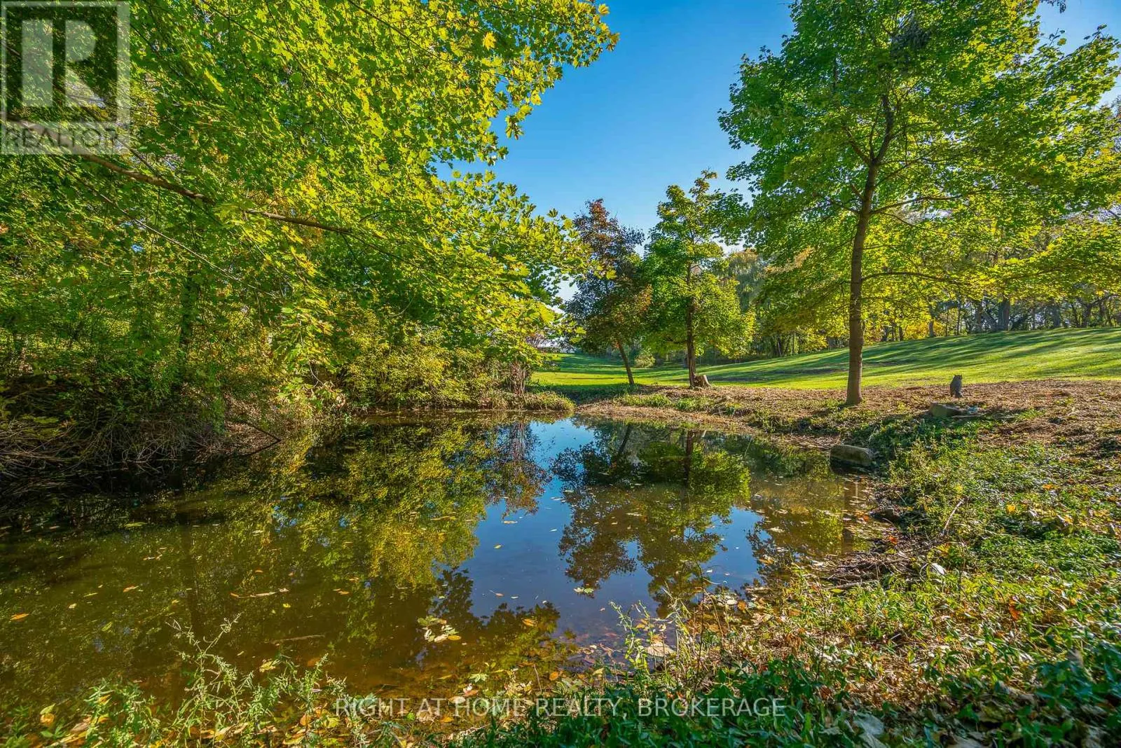 1353 MCNAB ROAD
