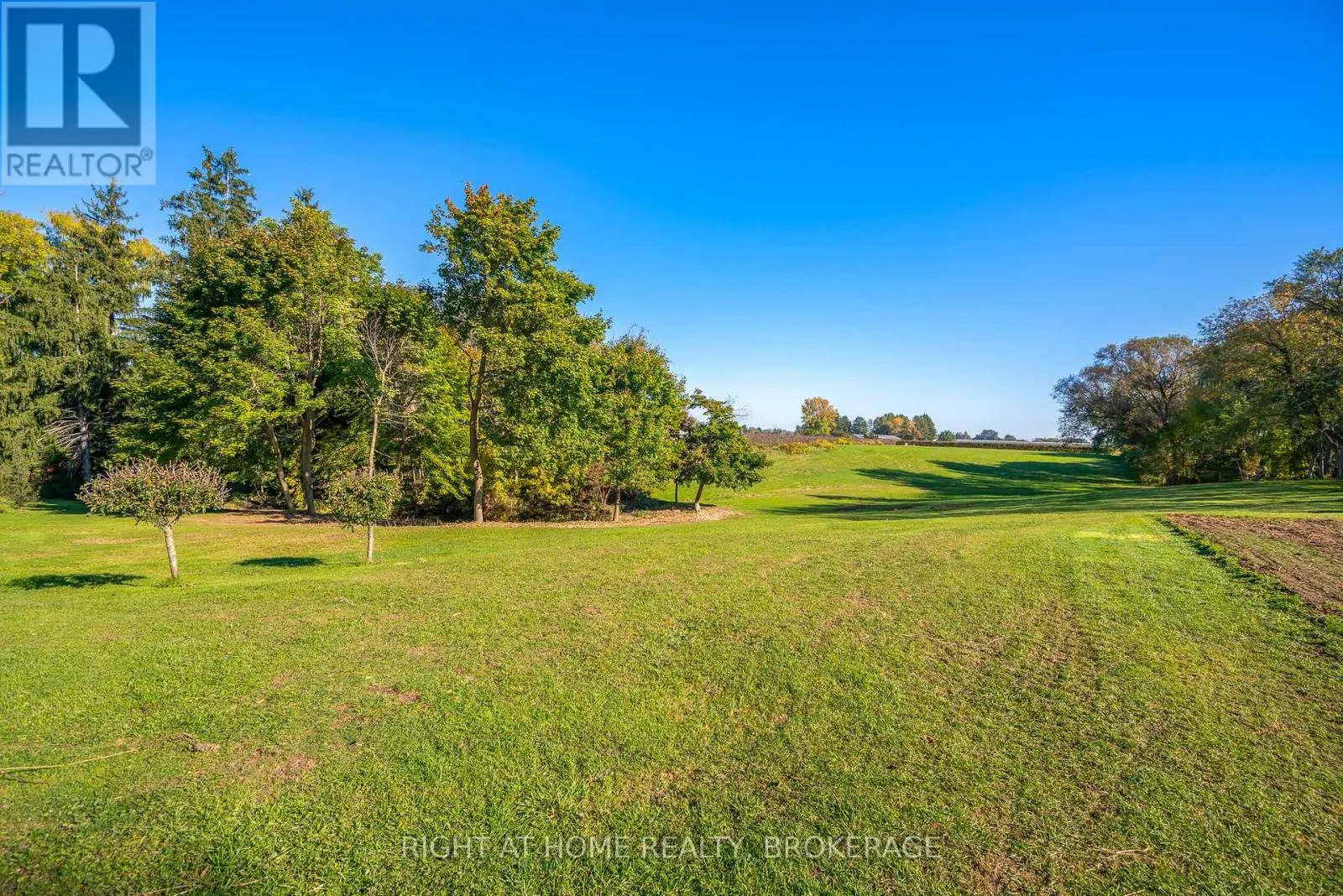 1353 MCNAB ROAD