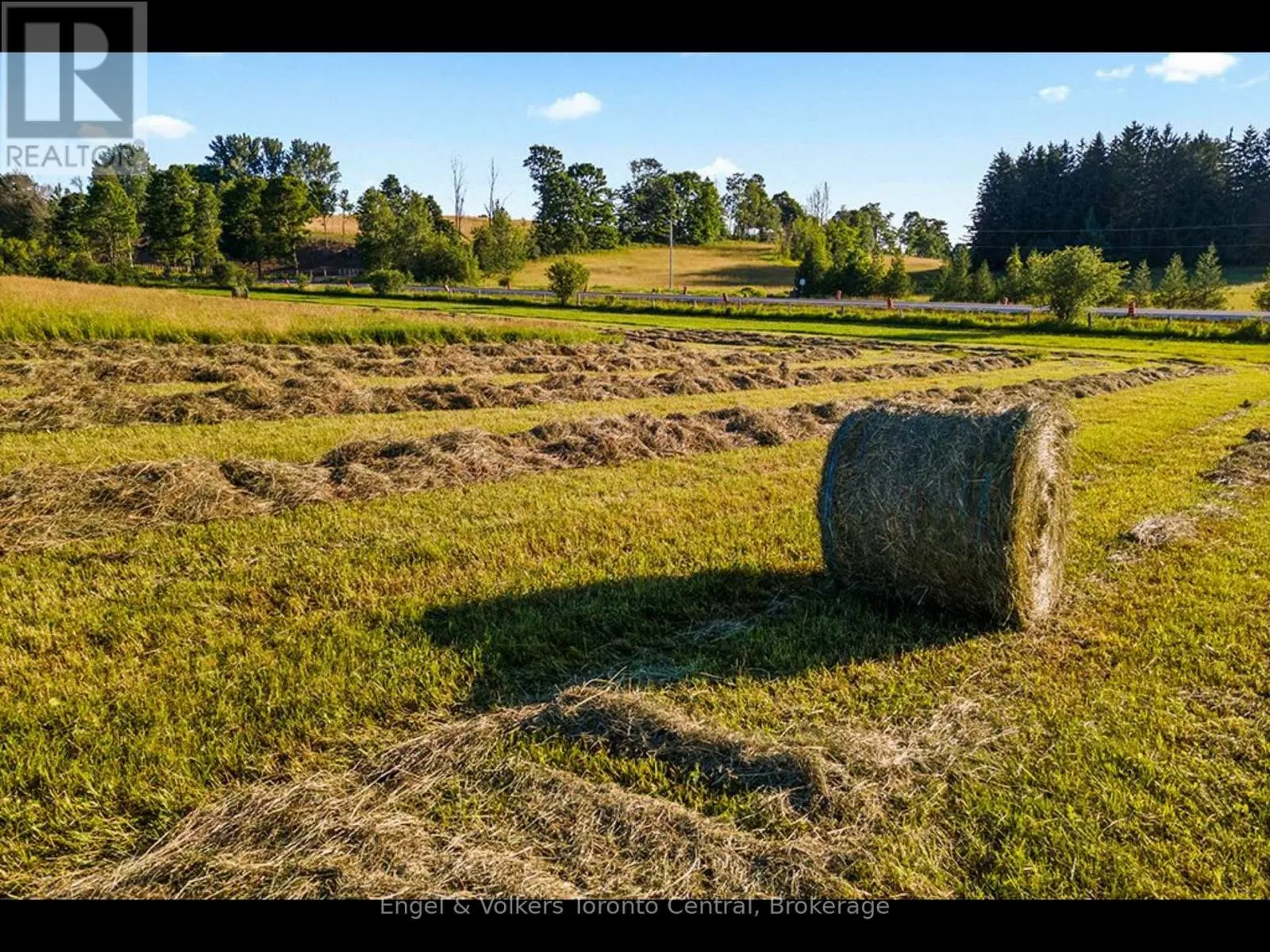 137079 GREY RD 12 ROAD