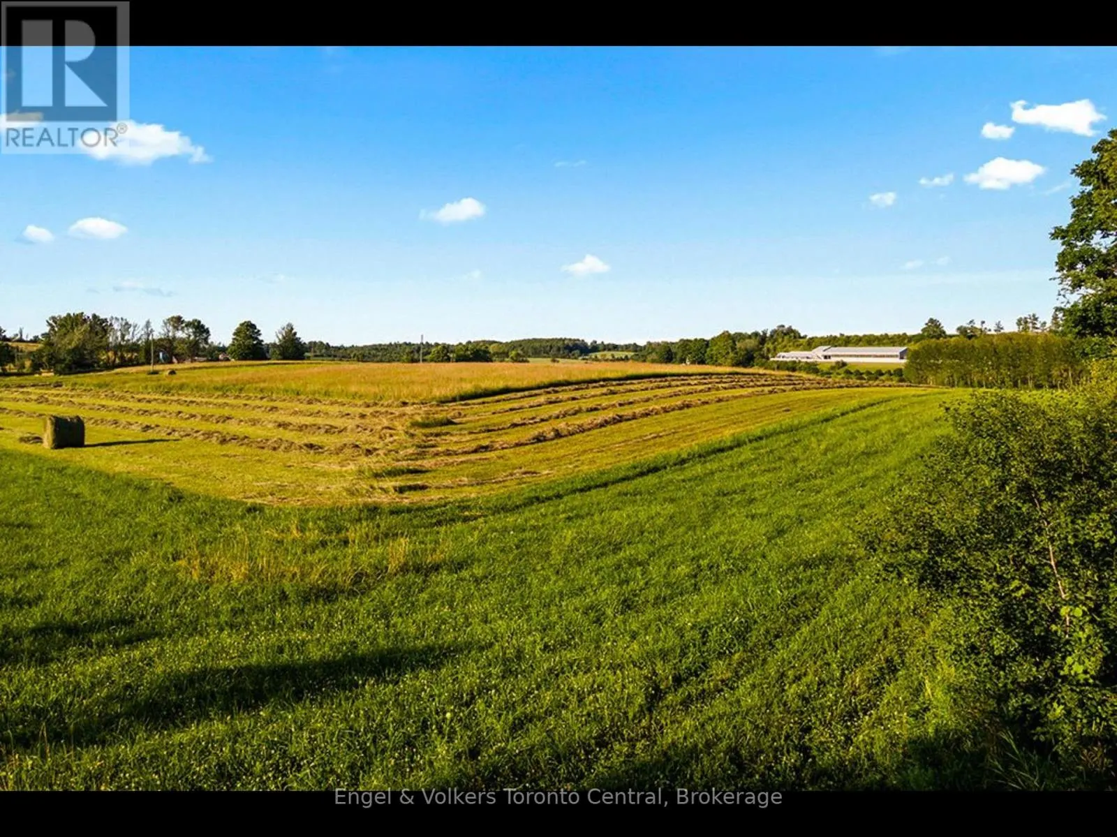 137079 GREY RD 12 ROAD