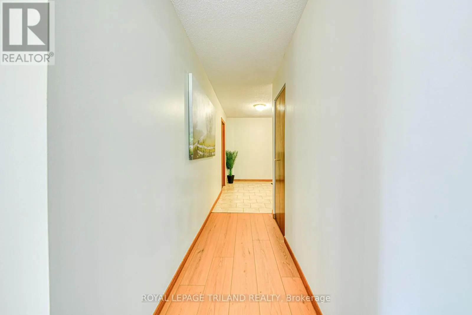 206 - 4 ALBERT STREET, #206