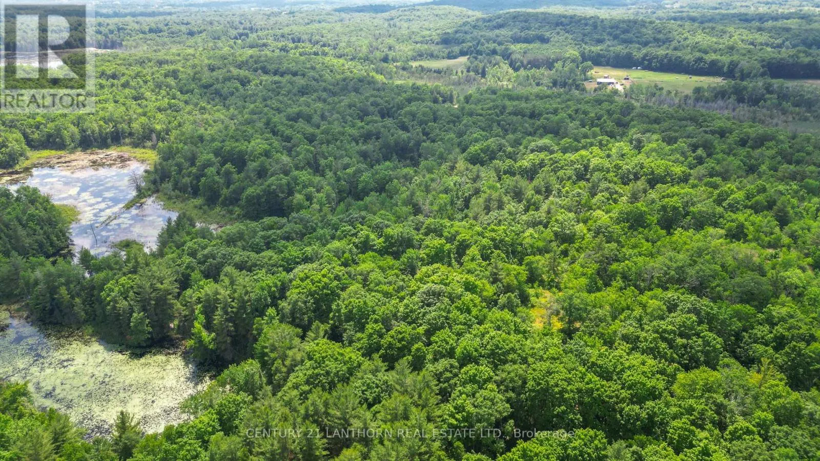 932 HUNT CLUB ROAD