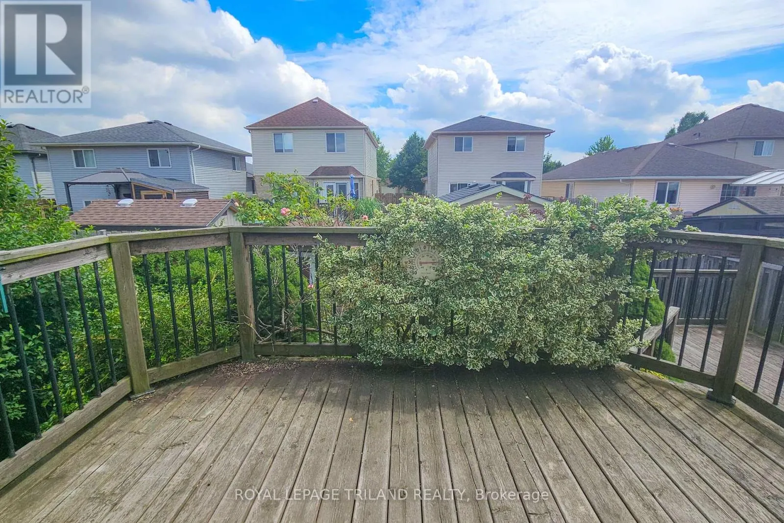 39 JUNO DRIVE