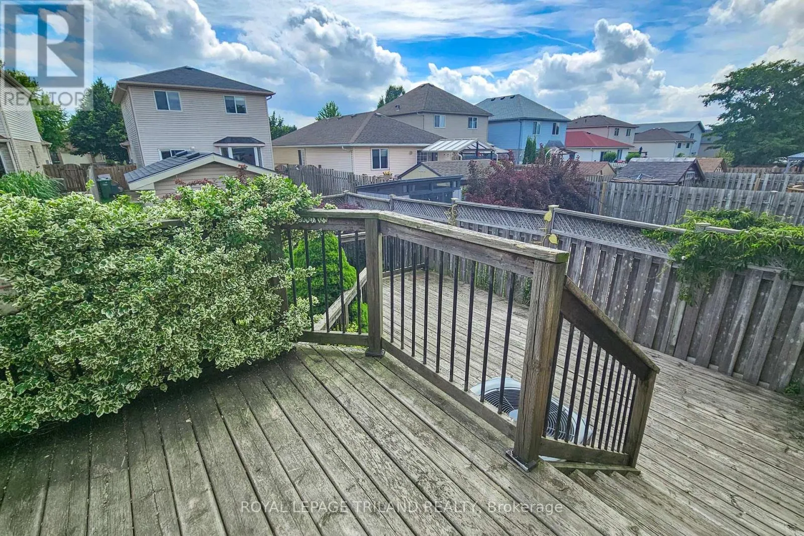 39 JUNO DRIVE