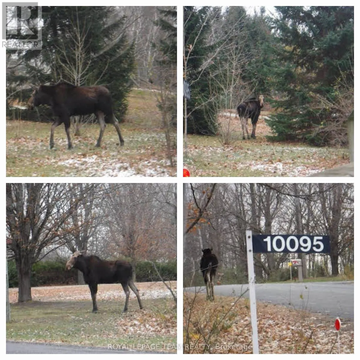 10095 SHAW ROAD