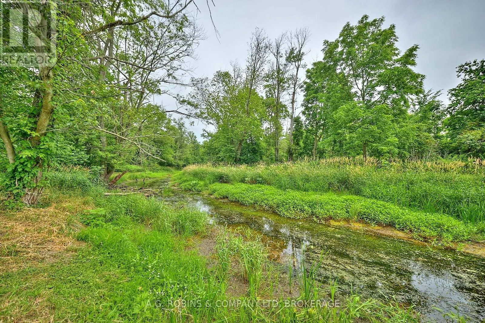 42770 HWY 3