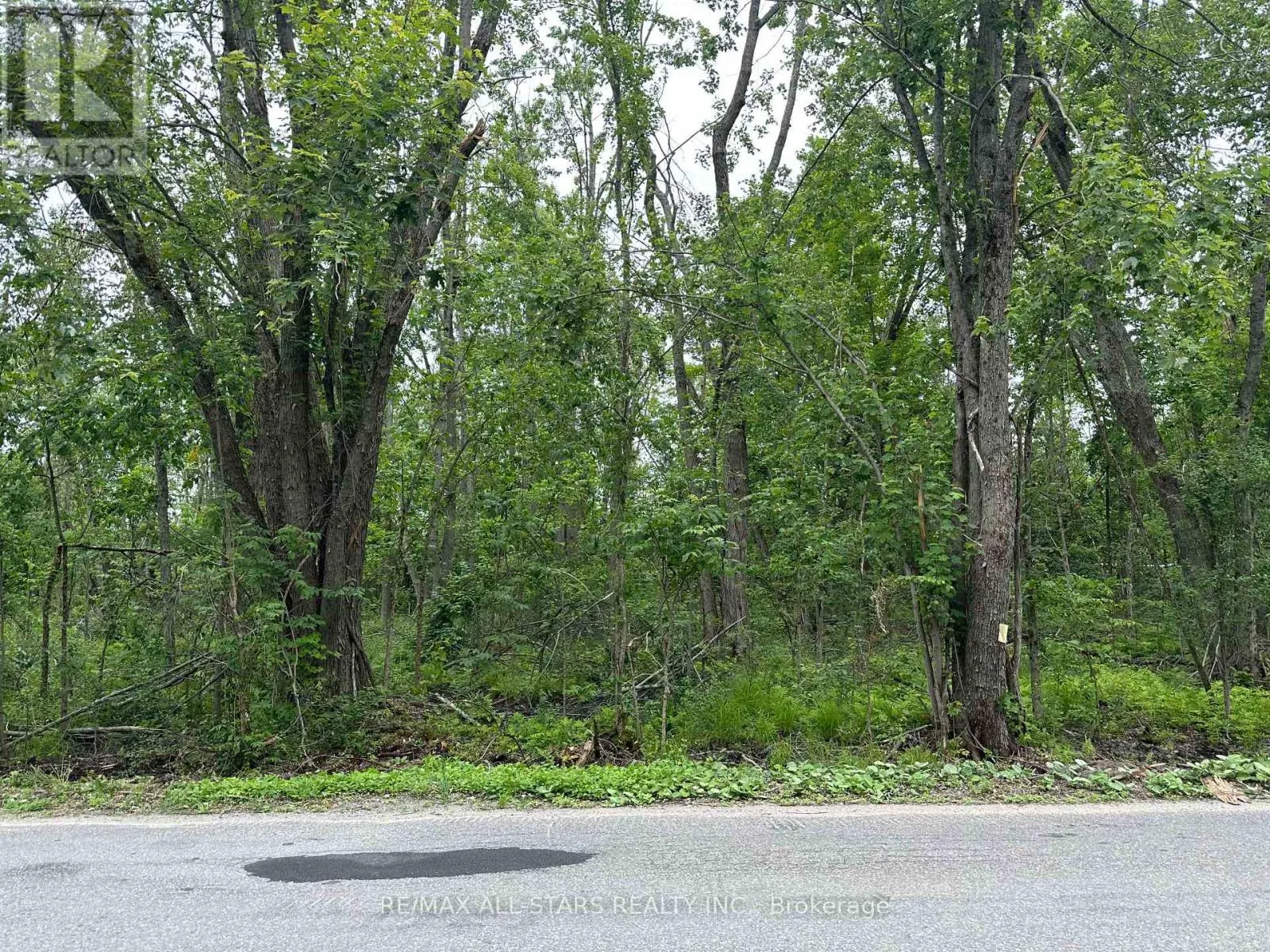 20 LOT TATE'S BAY ROAD