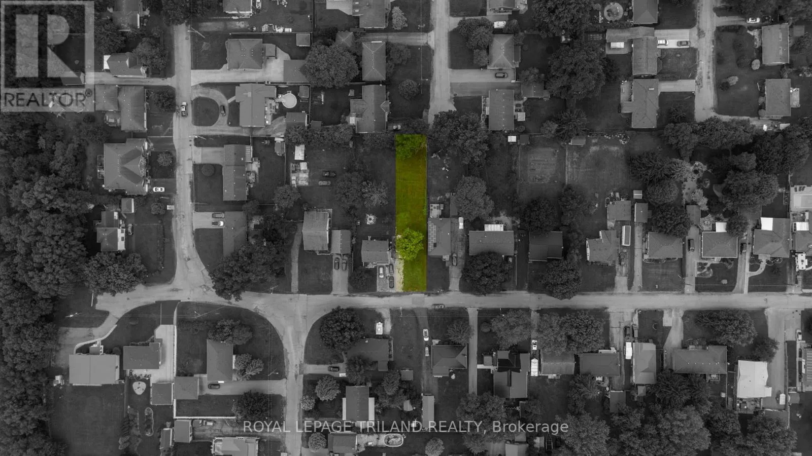 242 ALMA STREET