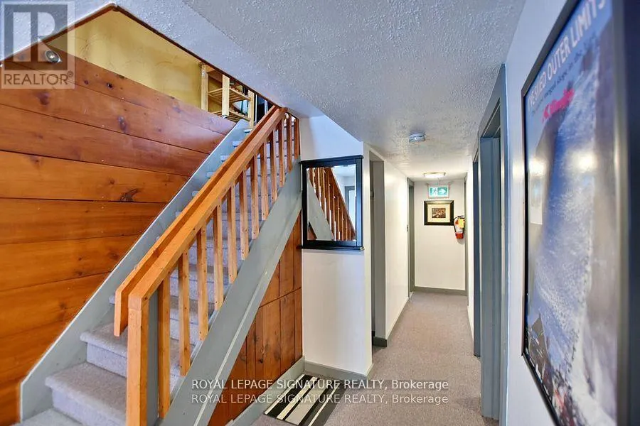 163 TYROLEAN LANE