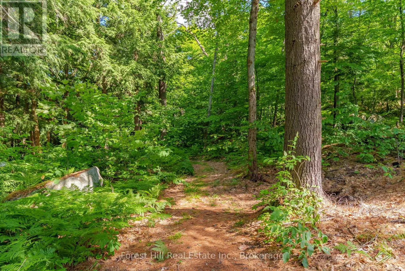 1 SL 19 ROBERTS ISLAND