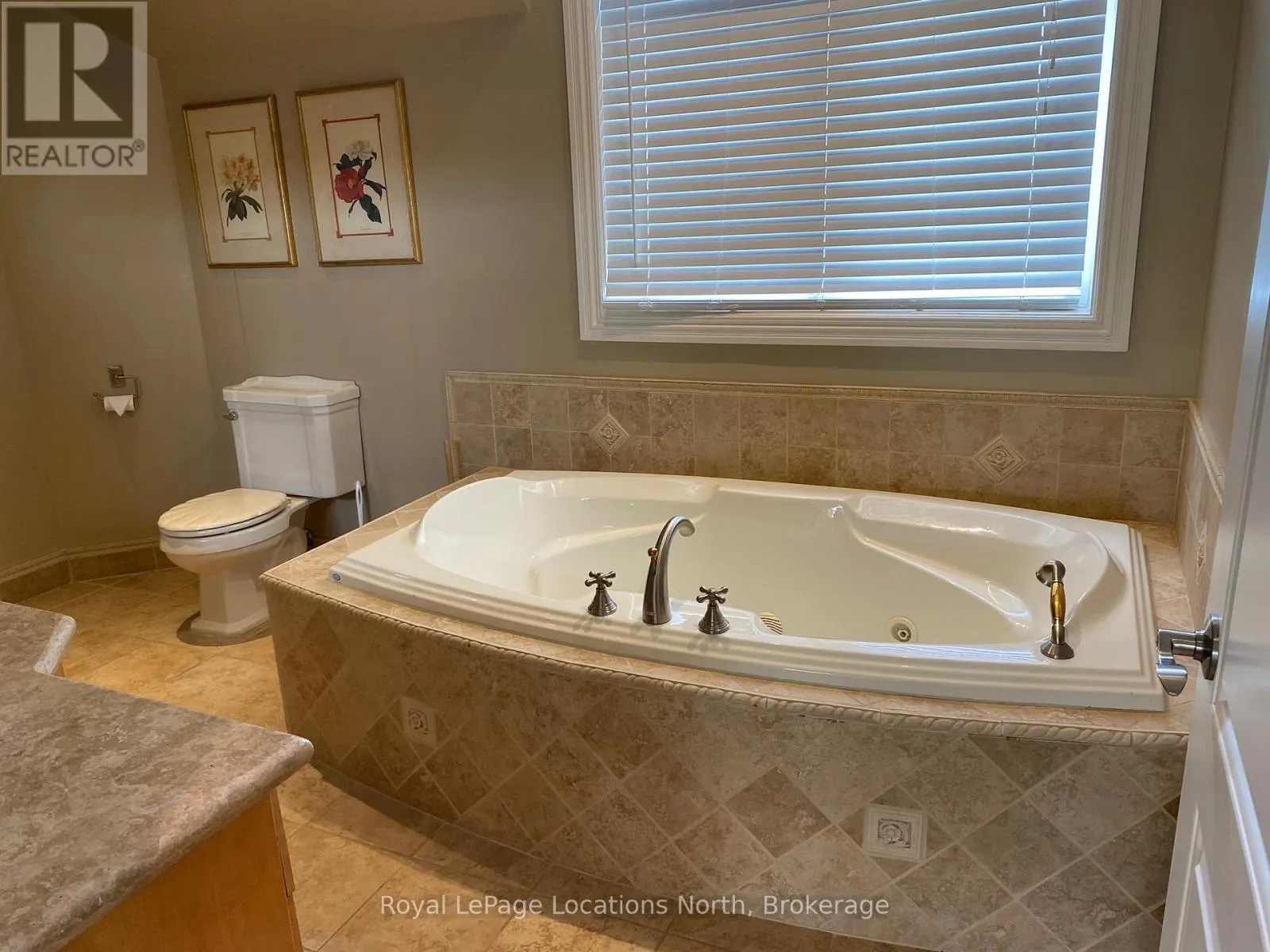 212 SNOWBRIDGE WAY