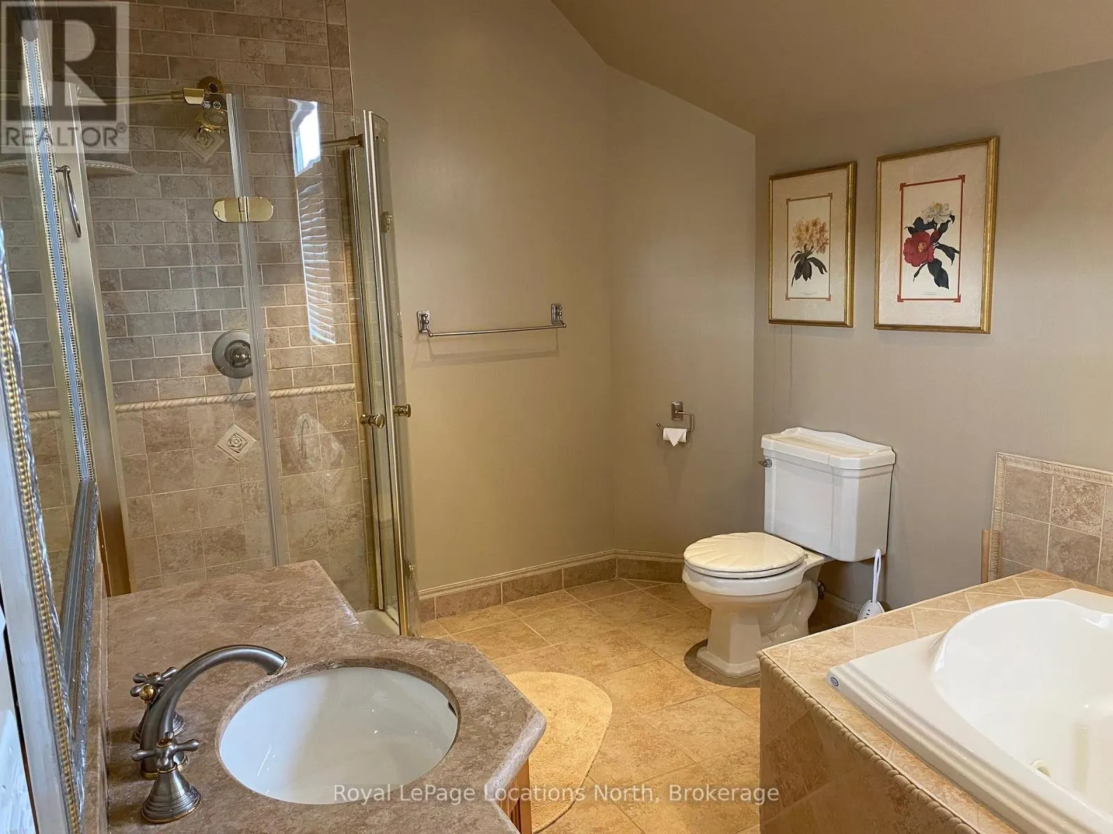 212 SNOWBRIDGE WAY