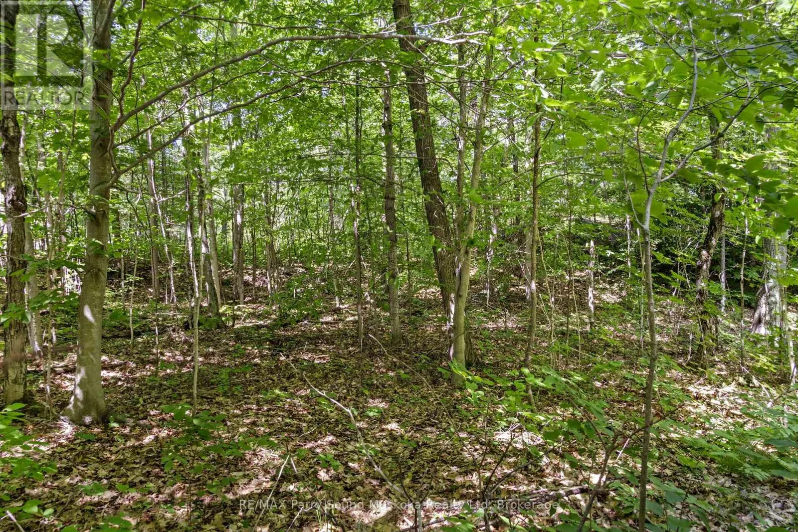 34A BELL LAKE ROAD