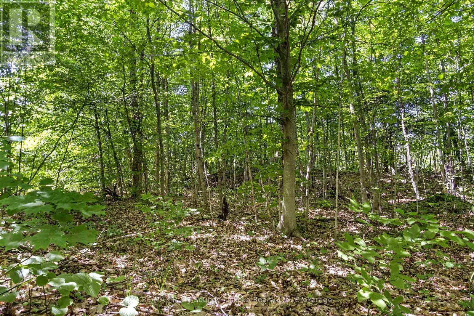 34A BELL LAKE ROAD
