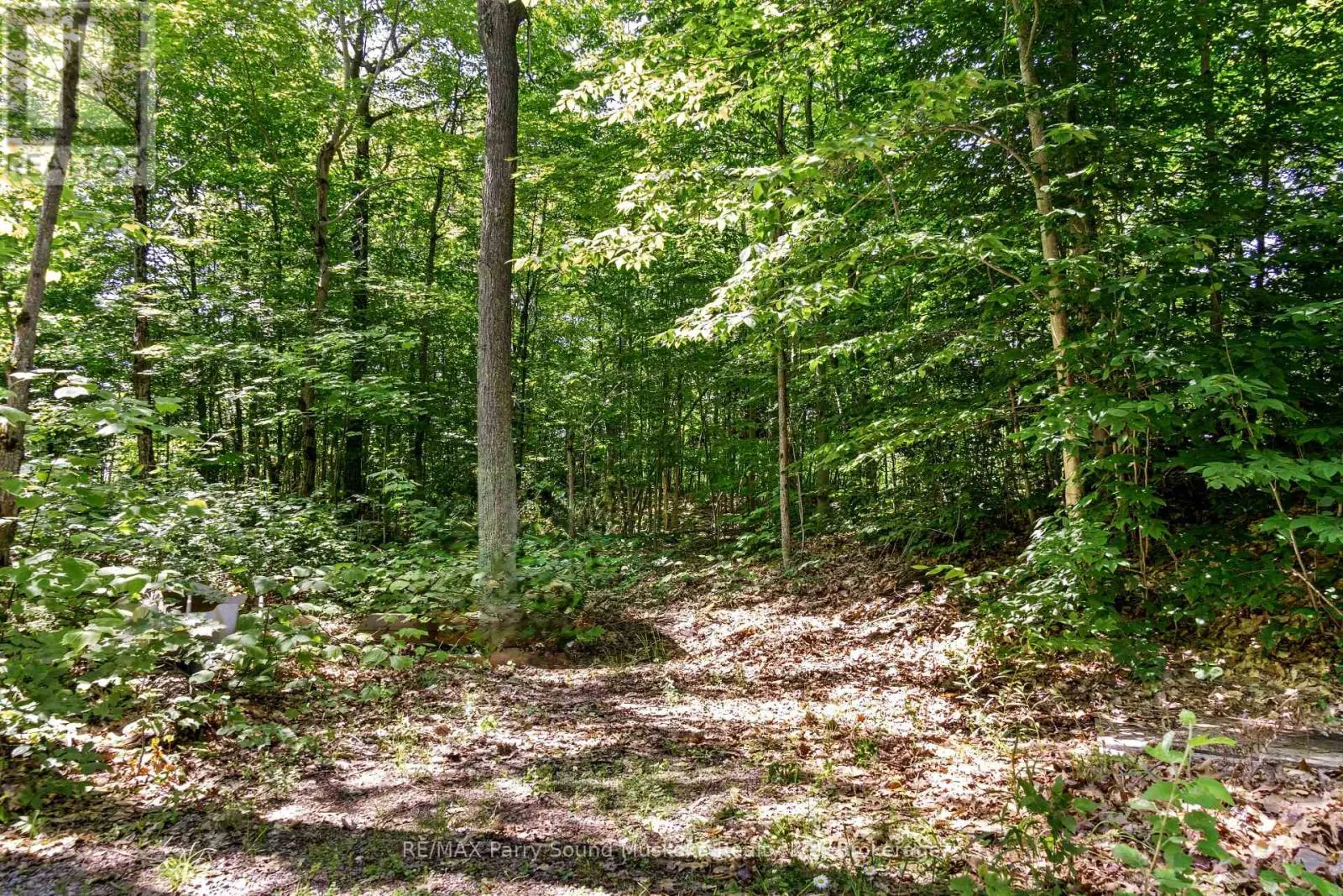 34A BELL LAKE ROAD