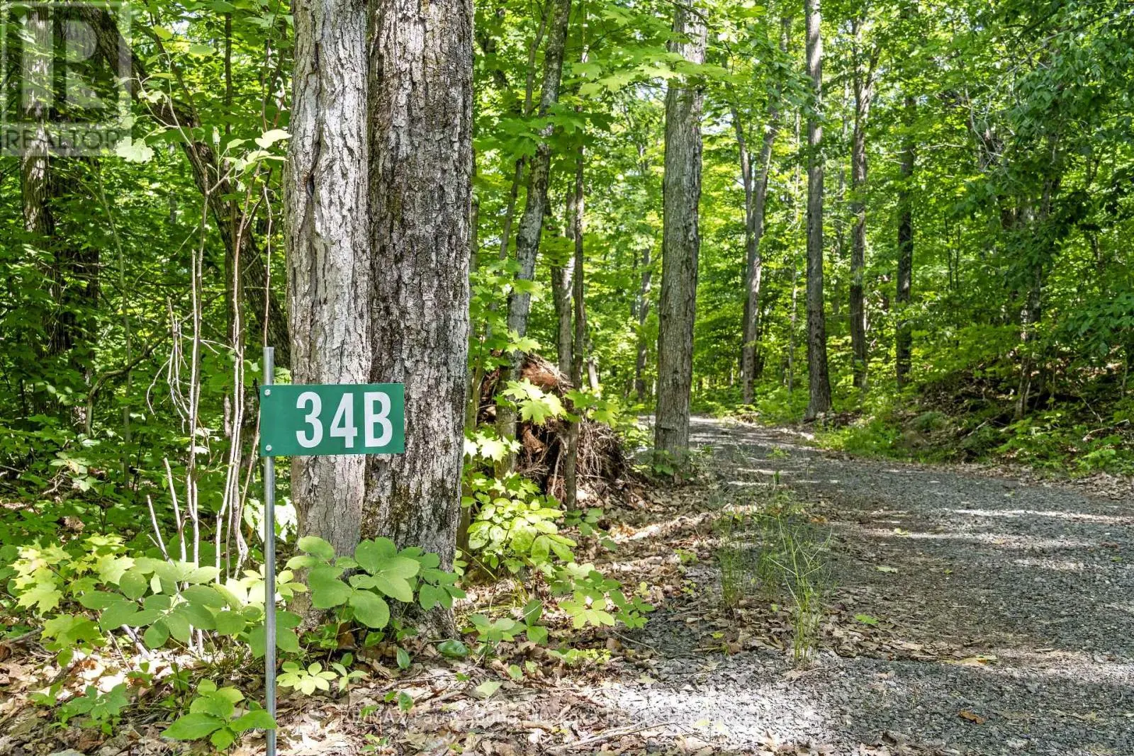 38 FUN COTTAGE LANE