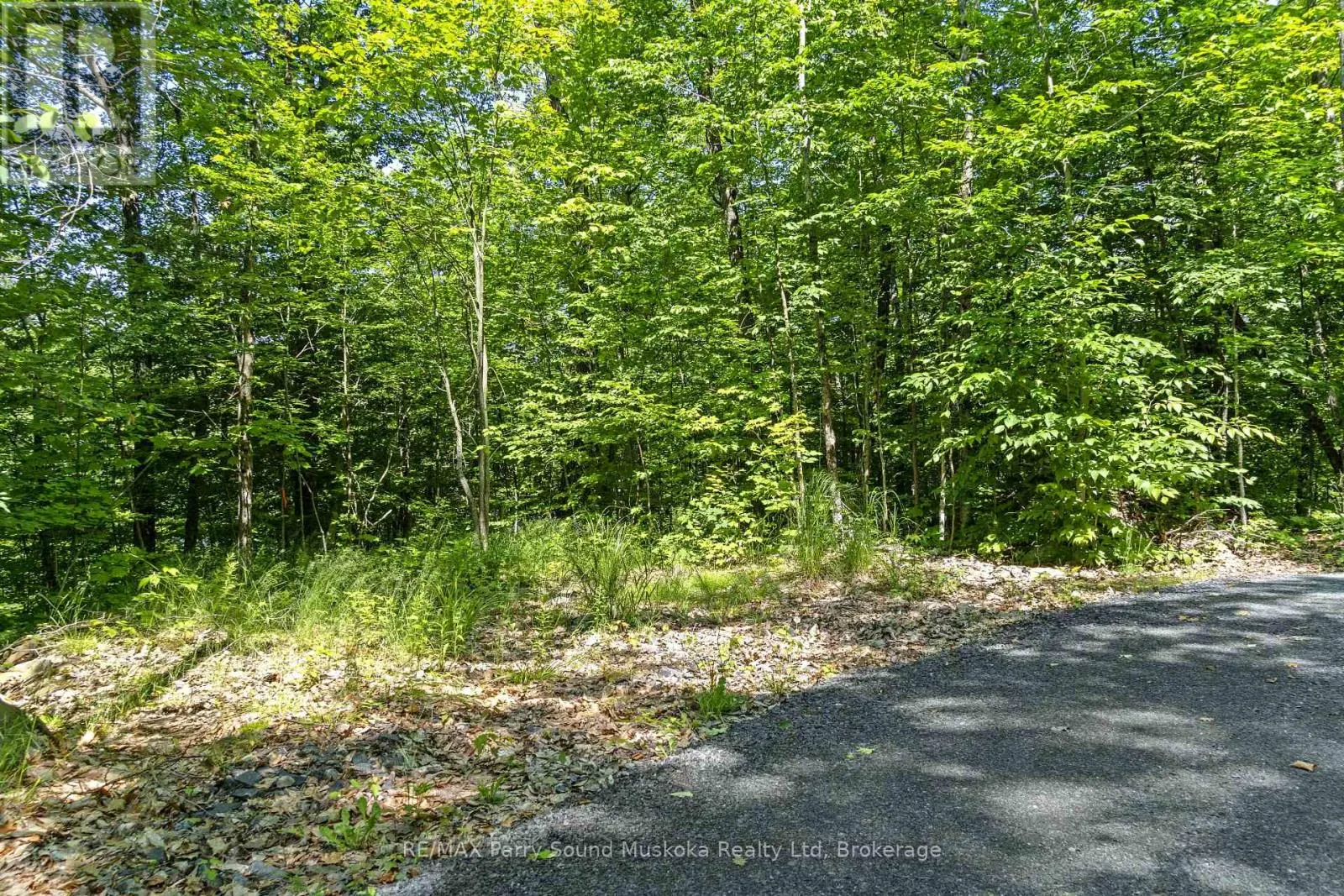 38 FUN COTTAGE LANE