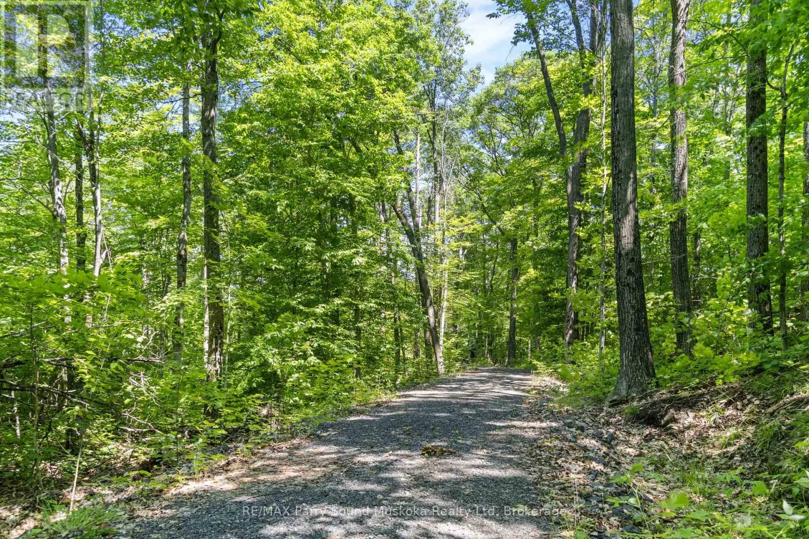 38 FUN COTTAGE LANE