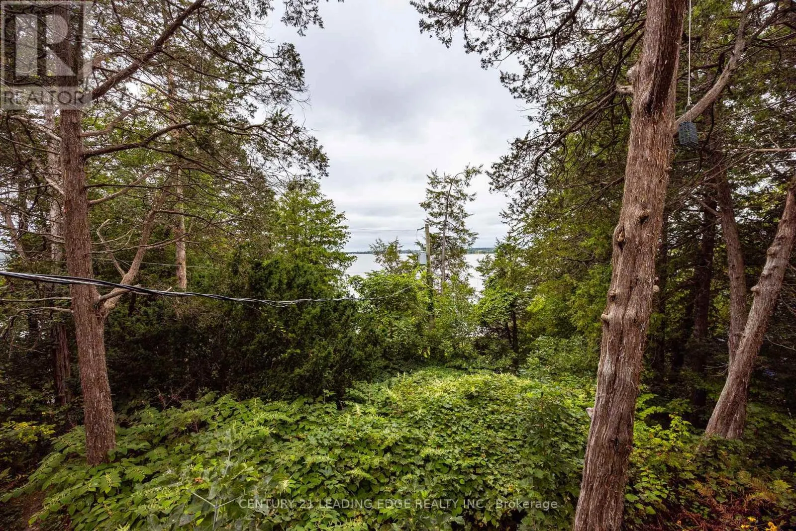 2385A COUNTY ROAD 9