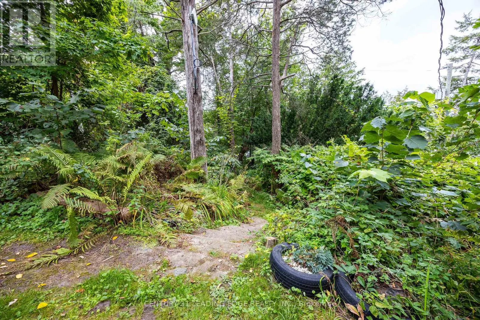 2385A COUNTY ROAD 9