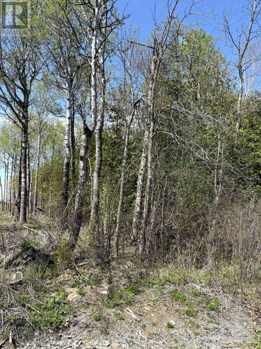 11865 (PTLT23) ARMSTRONG ROAD