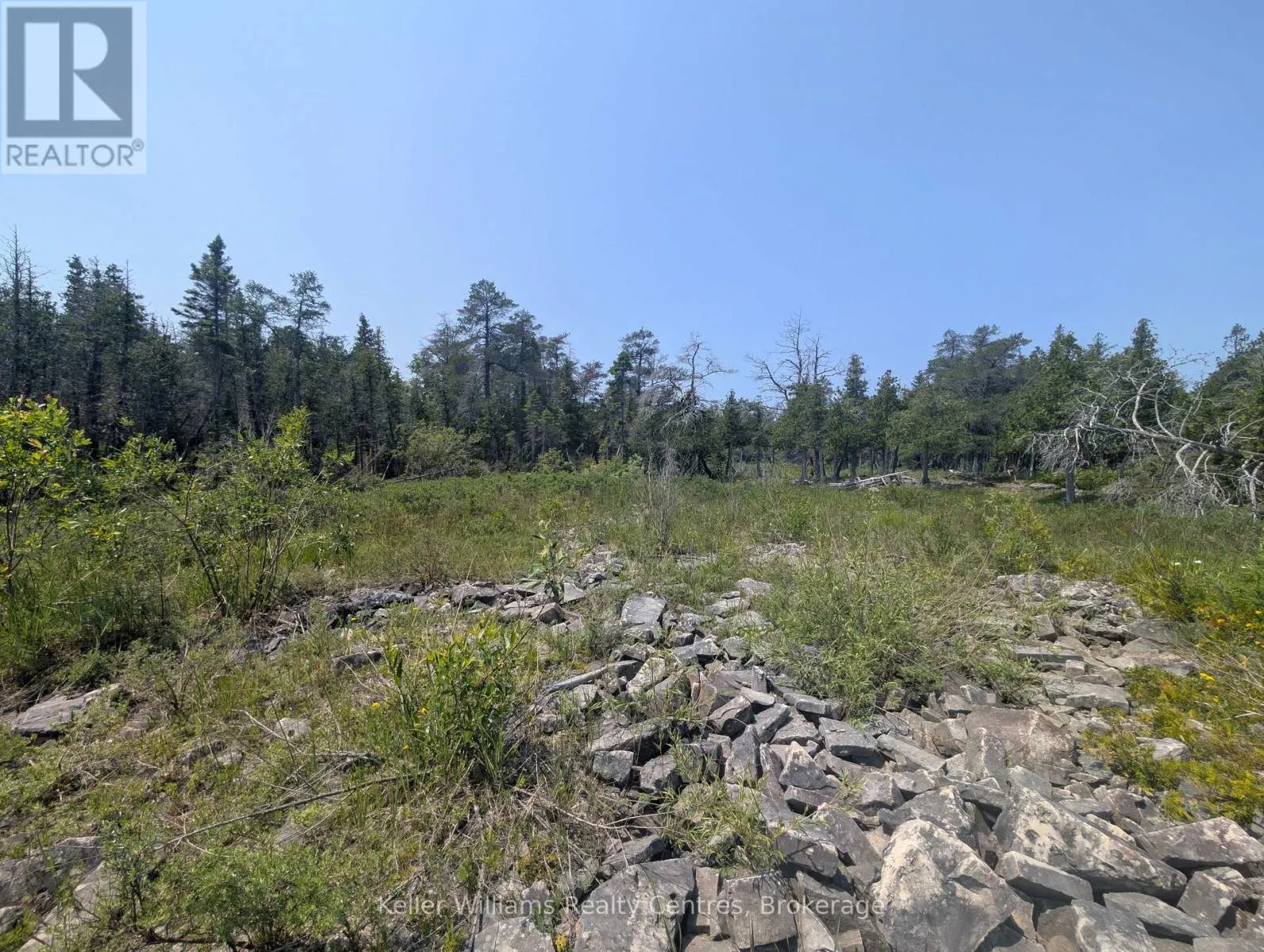 1226 DORCAS BAY ROAD