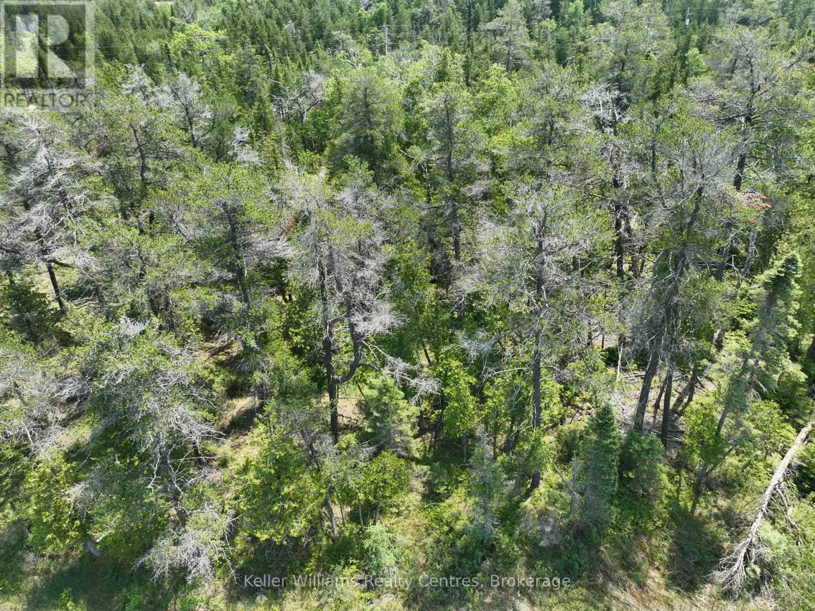 1226 DORCAS BAY ROAD