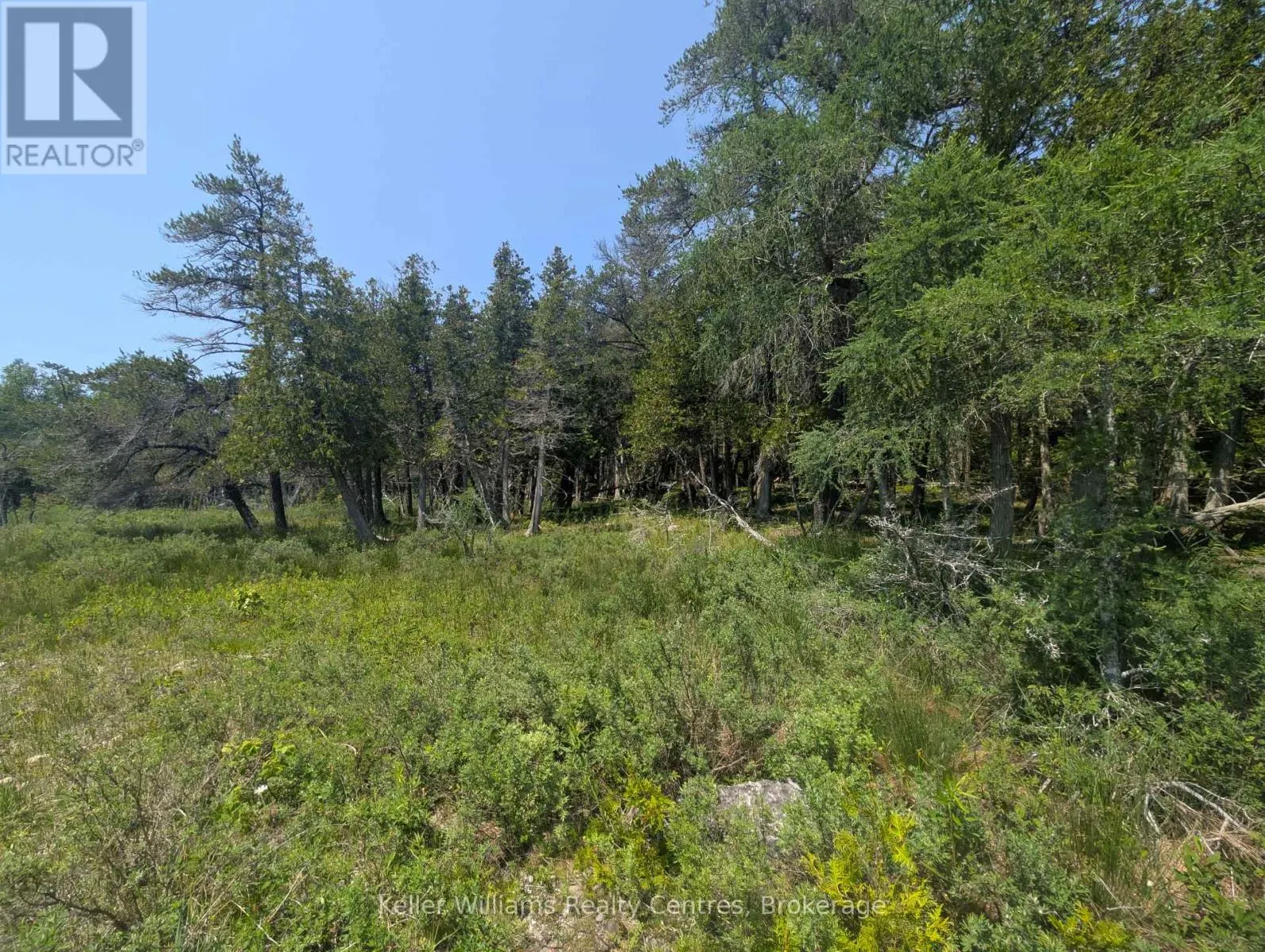 1226 DORCAS BAY ROAD