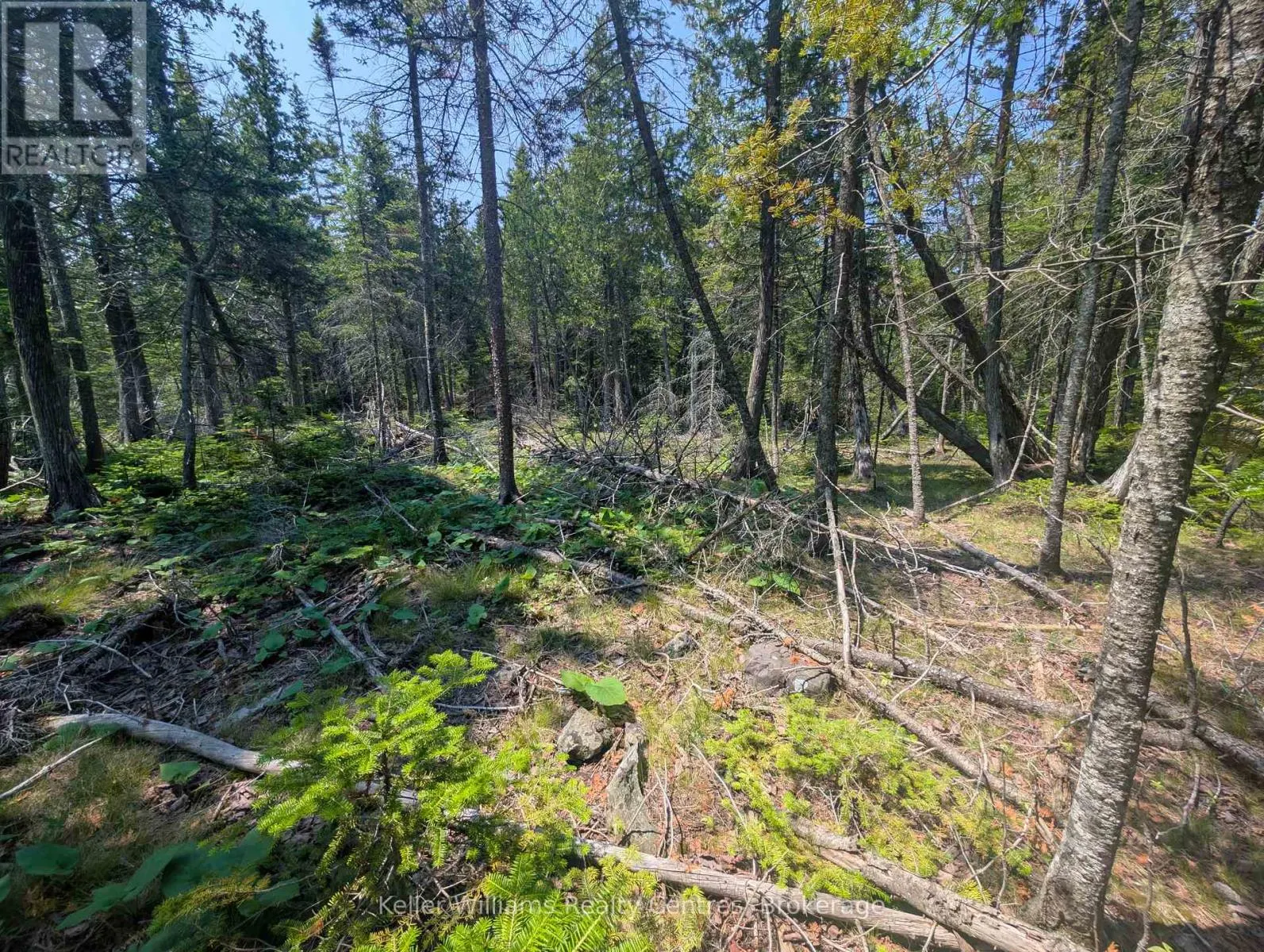 1226 DORCAS BAY ROAD