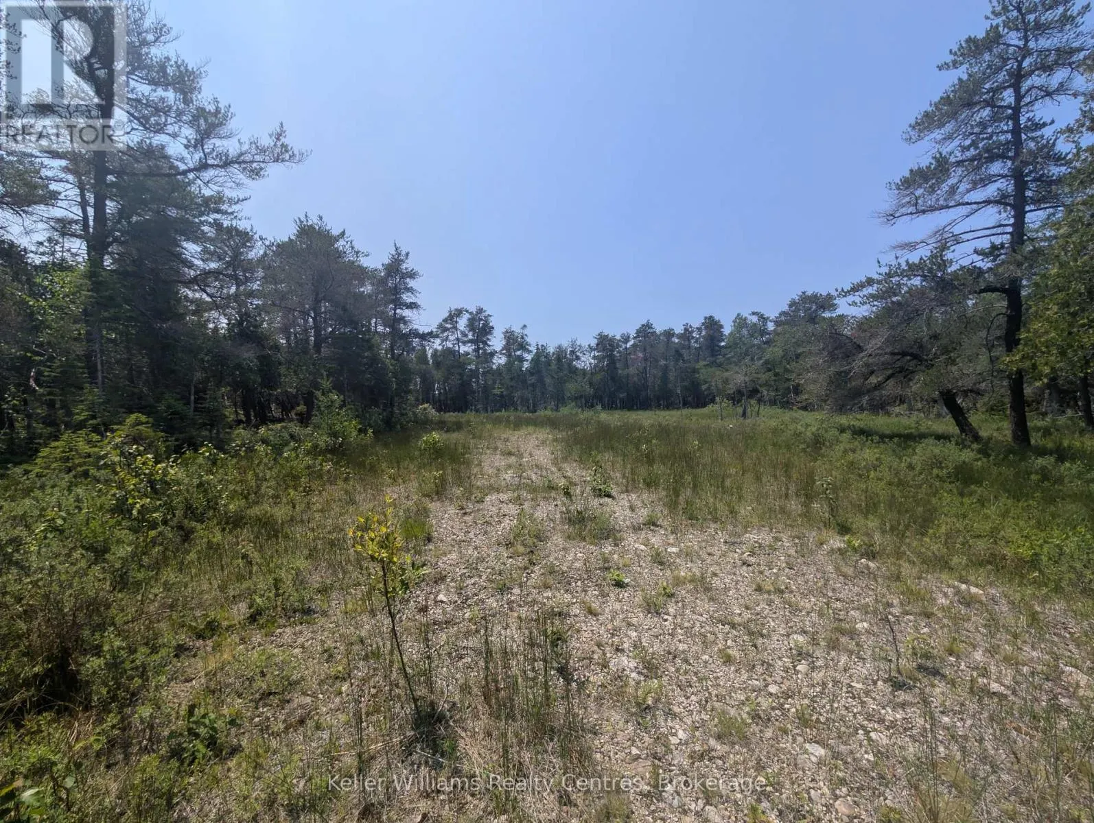 1226 DORCAS BAY ROAD