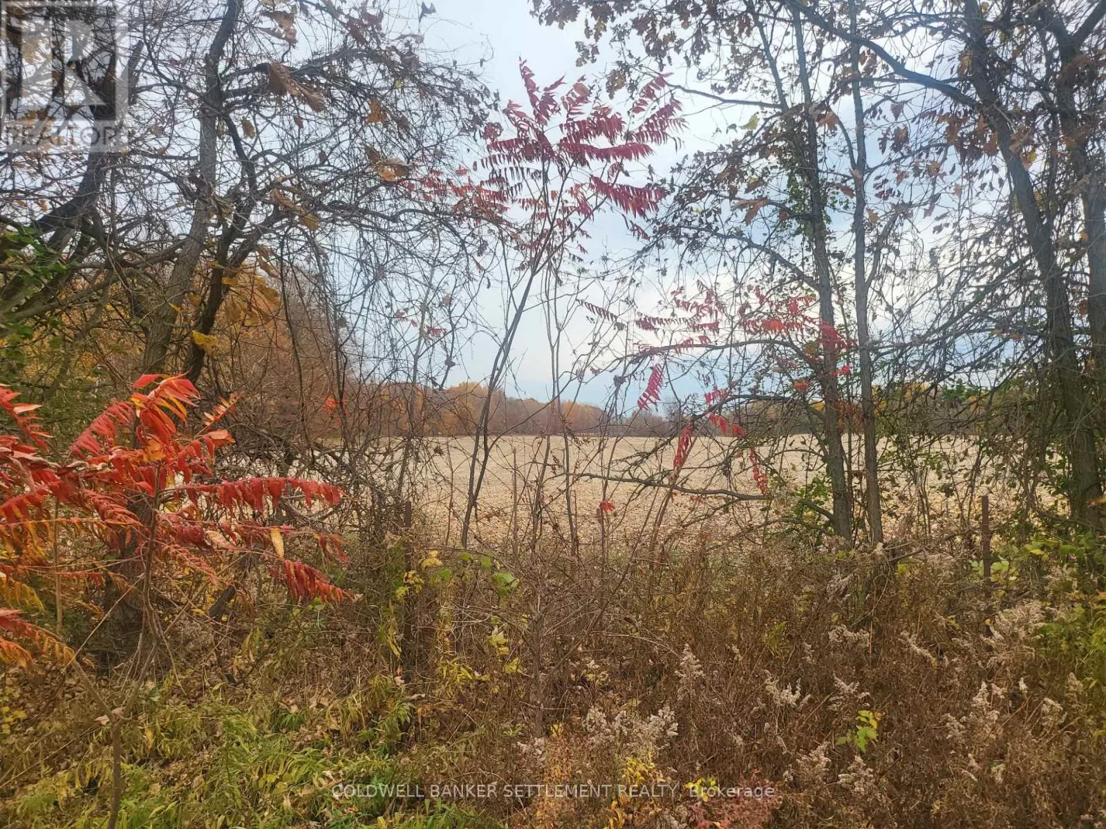 LOT 1 BUSH ROAD E