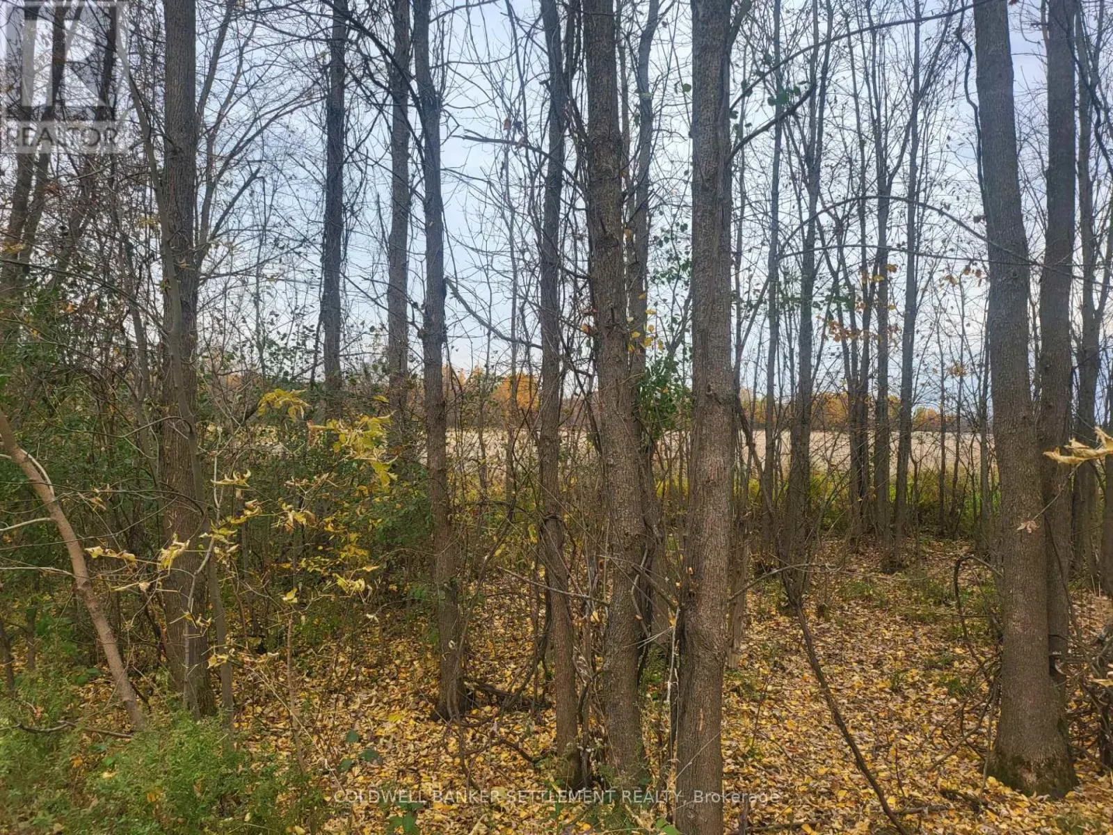 LOT 5 BUSH ROAD