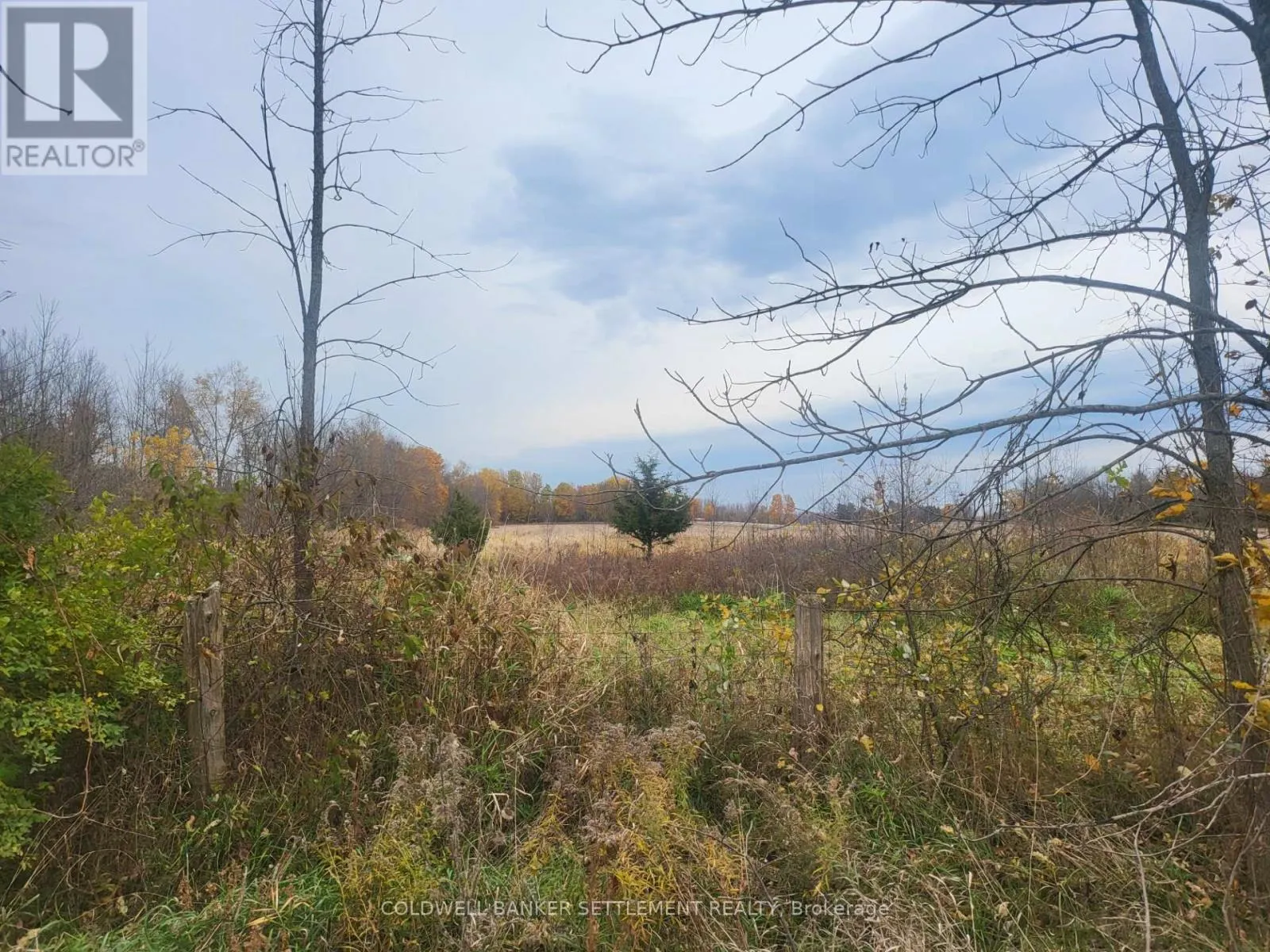 LOT 3 BUSH ROAD