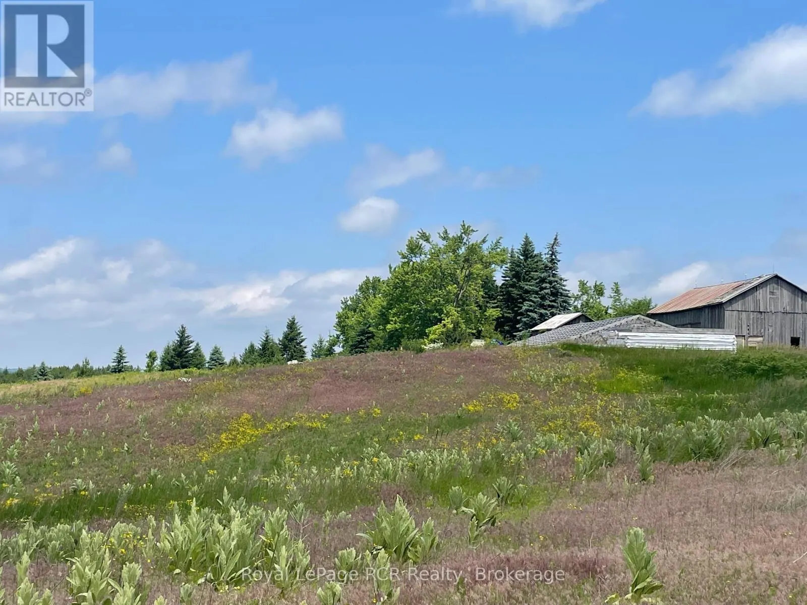 828254 MULMUR NOTTAWASAGA TOWNLINE