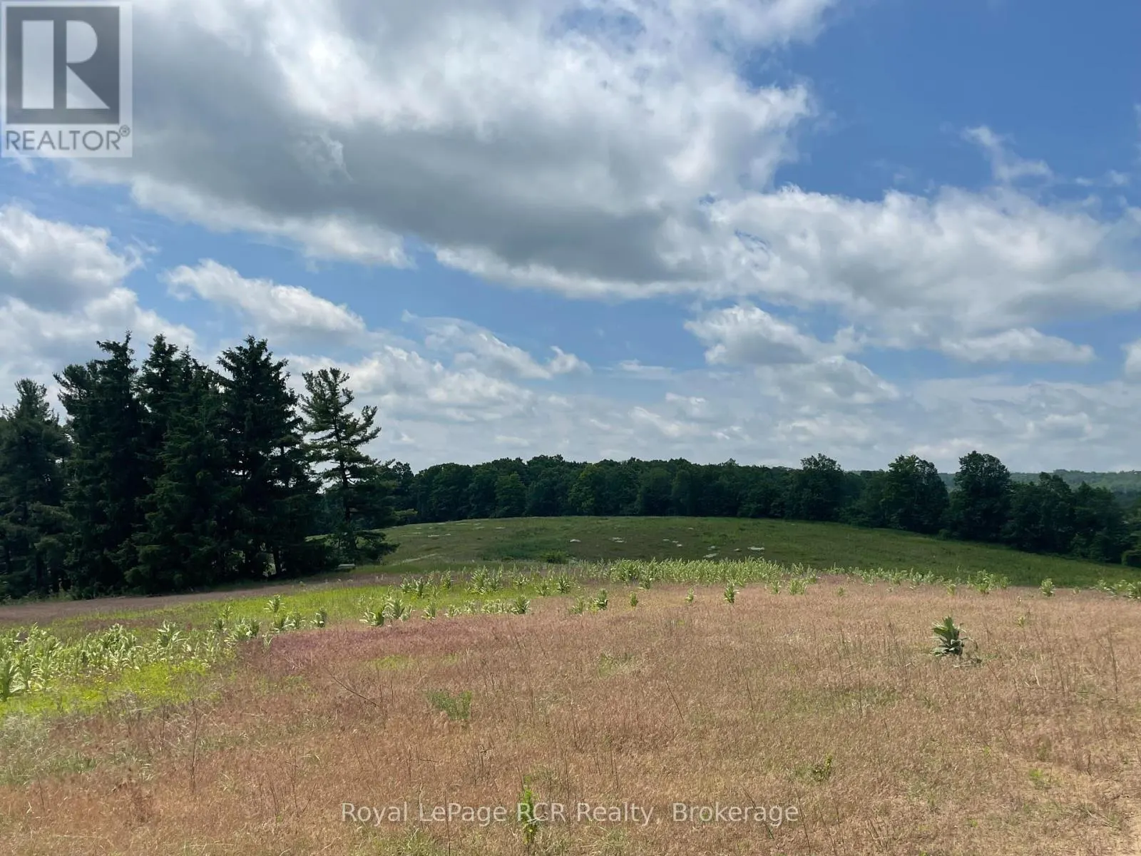 828254 MULMUR NOTTAWASAGA TOWNLINE
