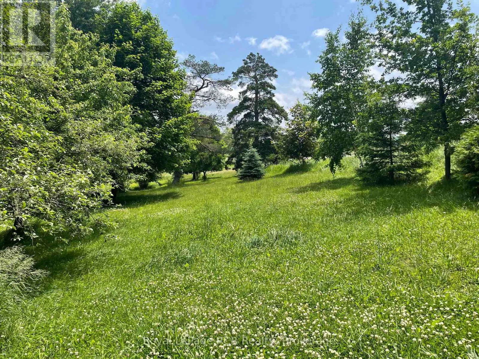 828254 MULMUR NOTTAWASAGA TOWNLINE