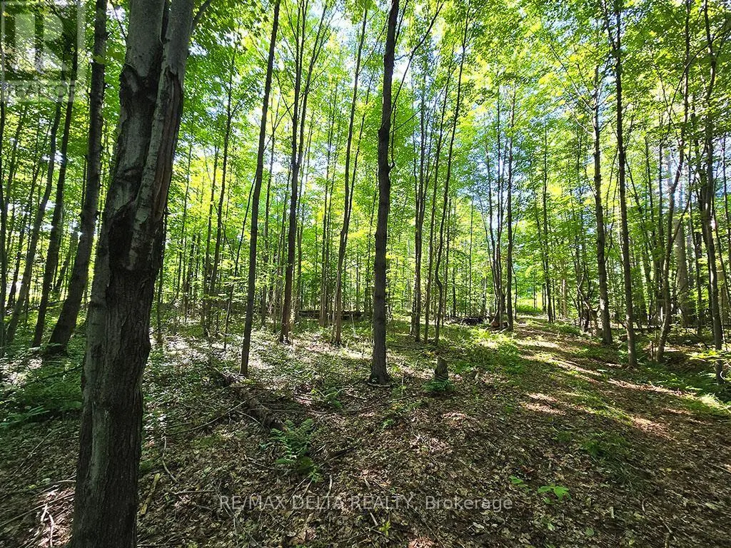 0000 CONCESSION ROAD 7 ROAD
