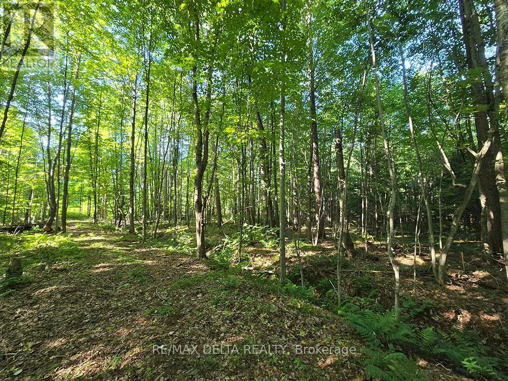 0000 CONCESSION ROAD 7 ROAD