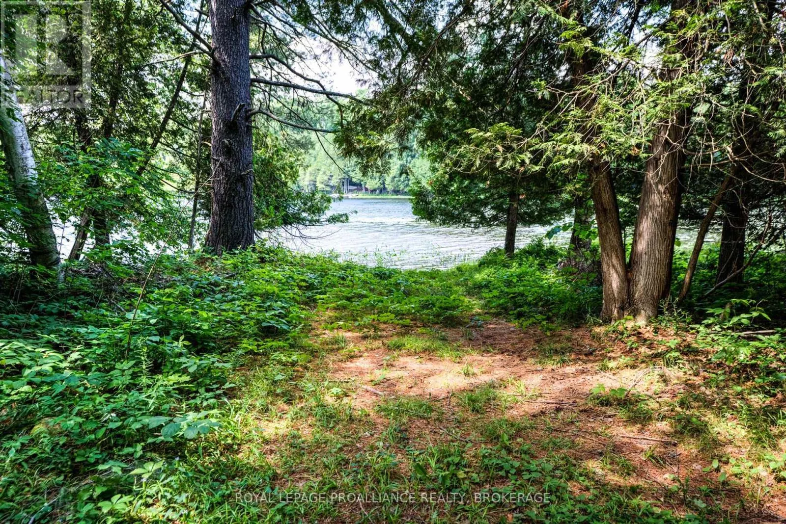 98 ROCKY RIDGE LANE