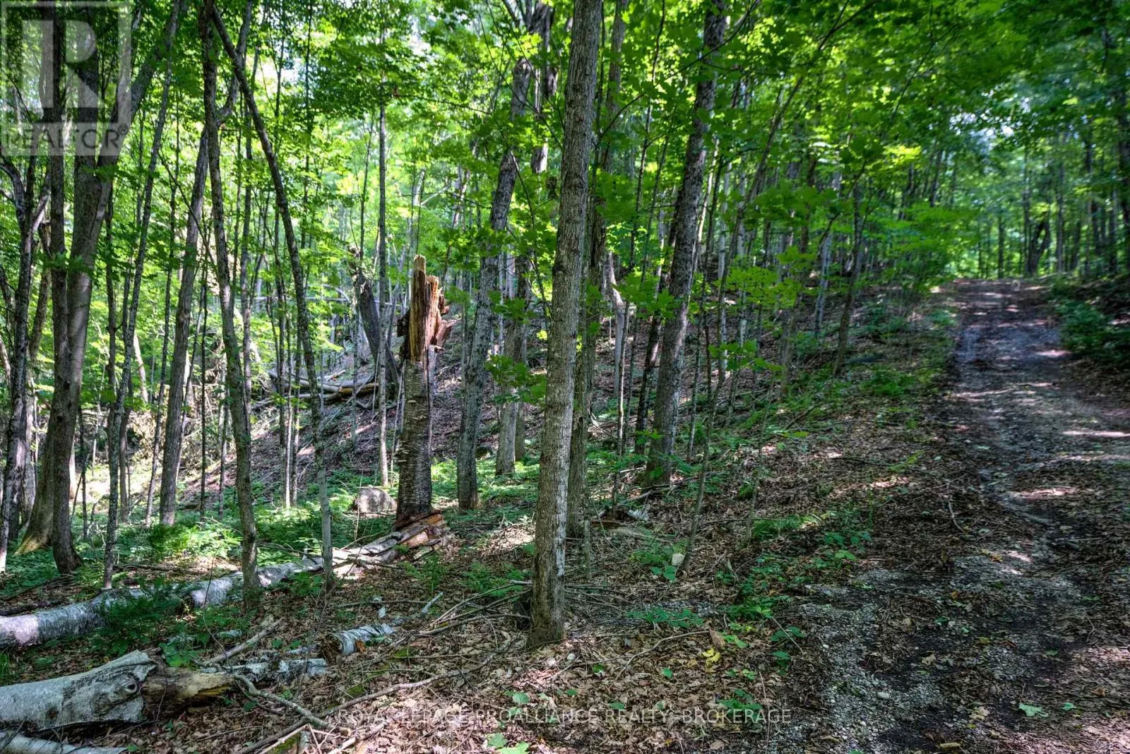 98 ROCKY RIDGE LANE