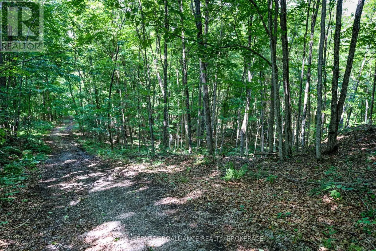 98 ROCKY RIDGE LANE