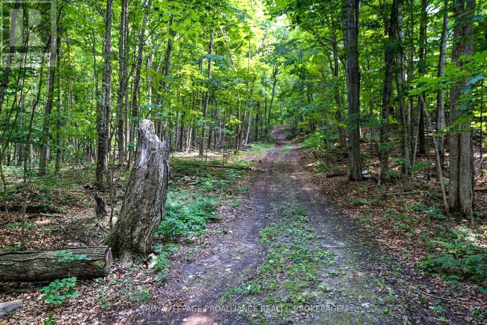 98 ROCKY RIDGE LANE