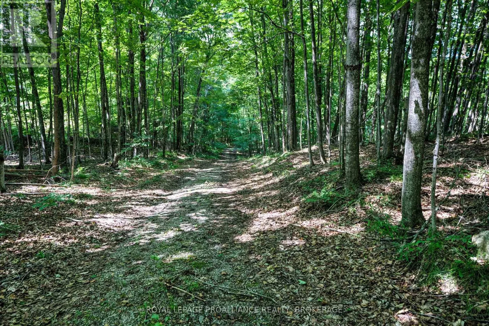 98 ROCKY RIDGE LANE