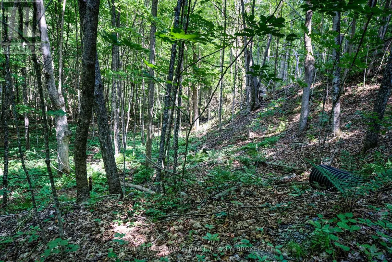 98 ROCKY RIDGE LANE