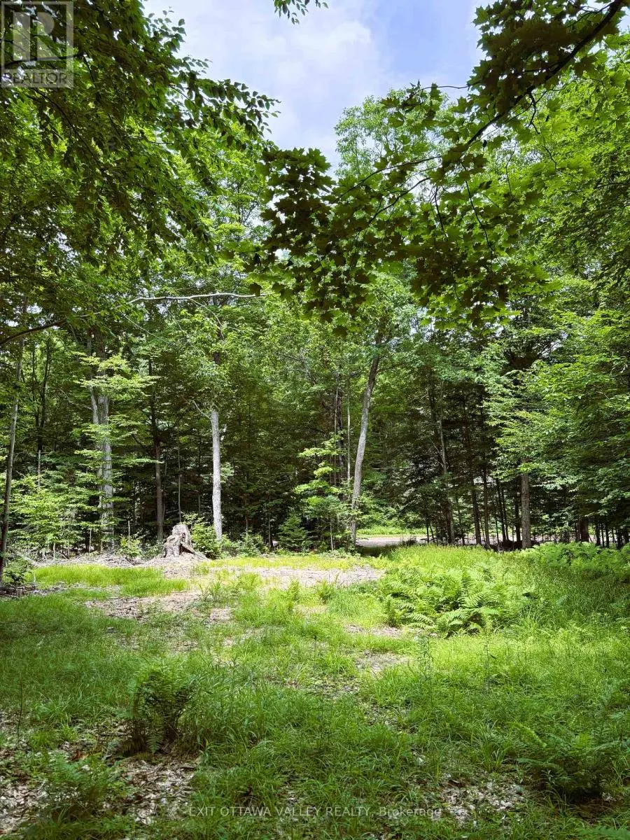 0 PEPLINSKIE ROAD