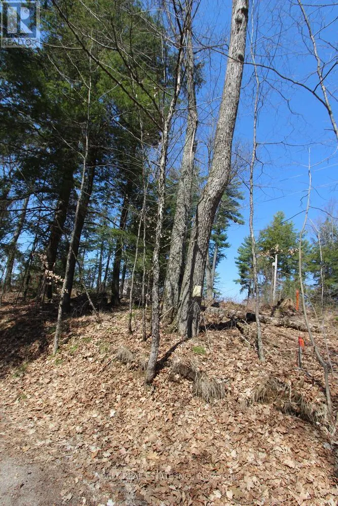 PT2&3 FIRE ROUTE 223