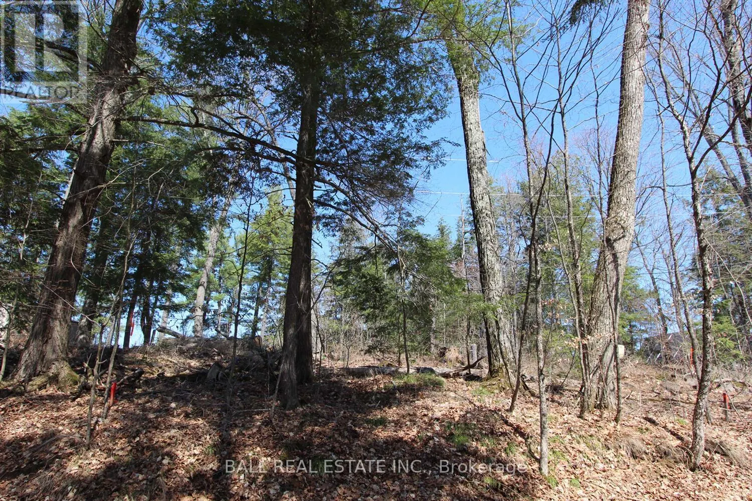 PT2&3 FIRE ROUTE 223