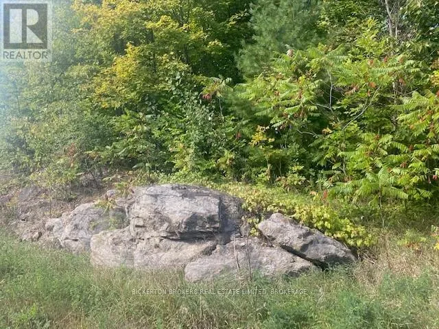 000 COUNTY RD 11, JONES FALLS ROAD
