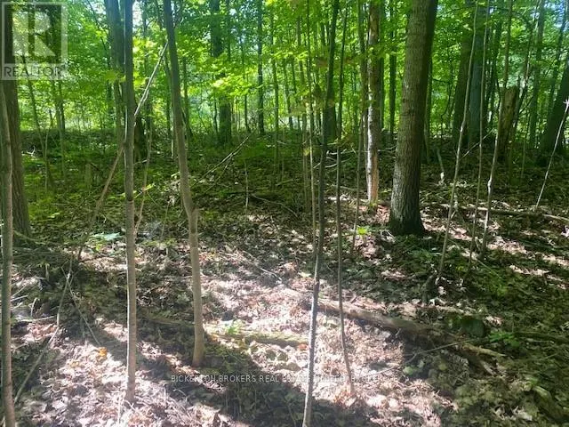 000 COUNTY RD 11, JONES FALLS ROAD